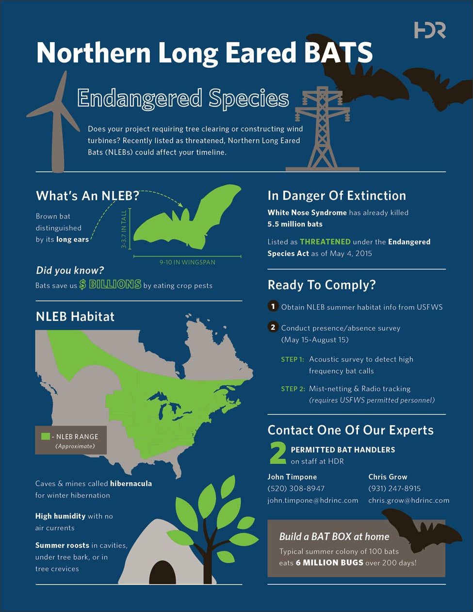 Northern Long Eared Bats Infographic
