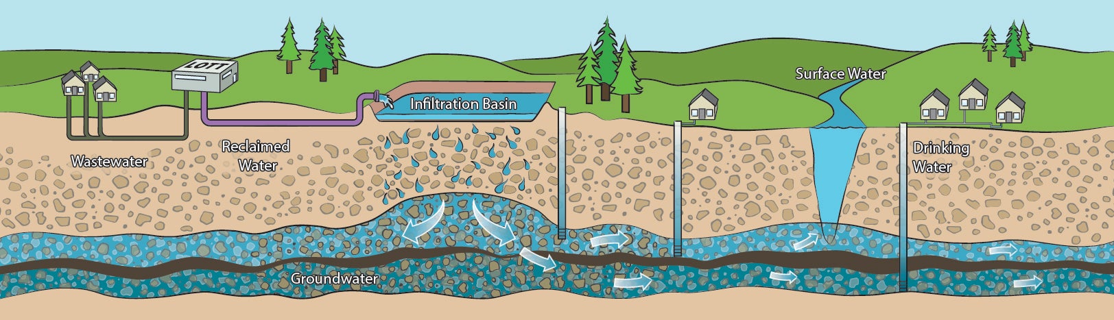 LOTT Clean Water Alliance Reclaimed Water Infiltration Study