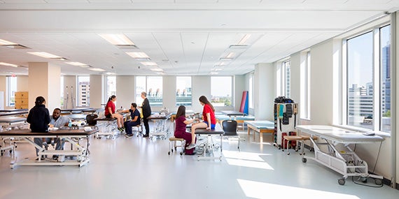 Preparing the Healthcare Professionals of the Future