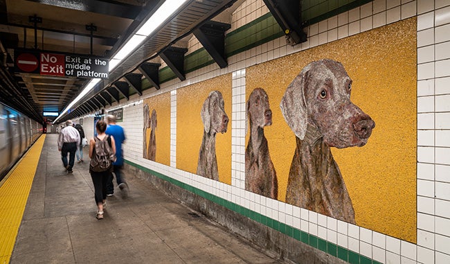 nyc enhanced station initiative