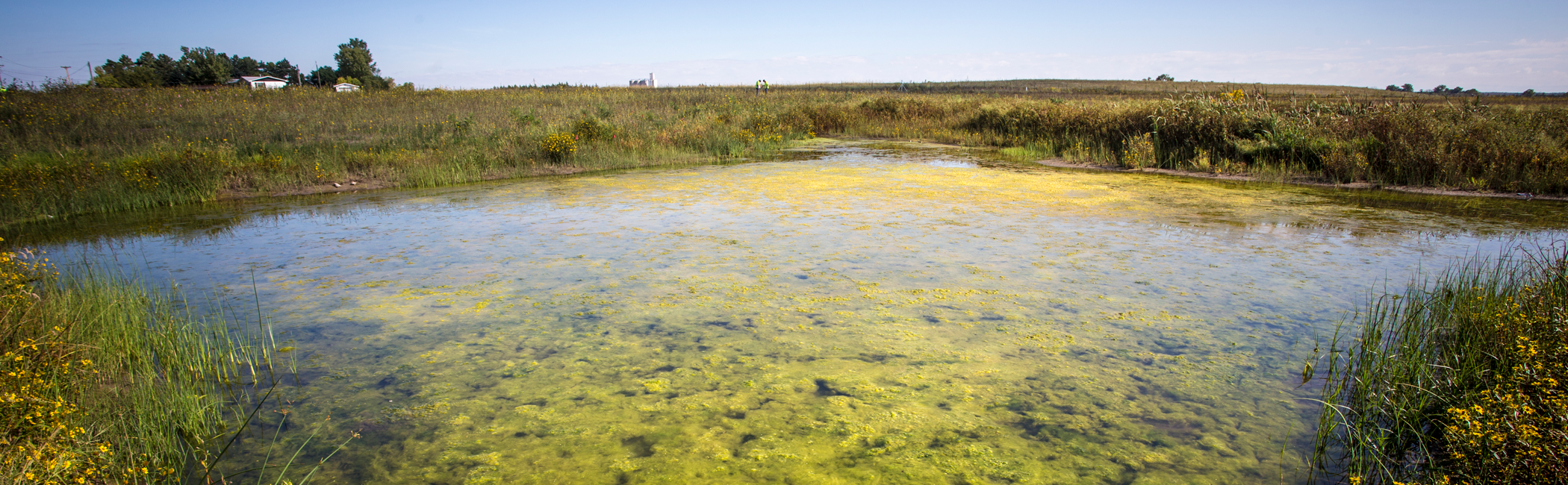 A Full View of BlueGreen Algal Blooms HDR