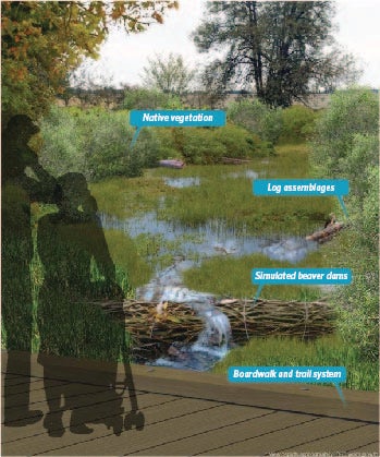 Bethany Creek Vegetation Growth | Benefits of Innovative Stormwater Approach Can Include Lower Costs, Less Effort