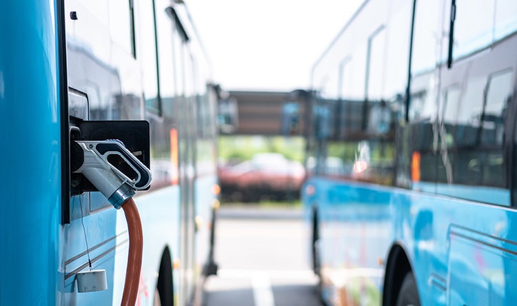 electric buses