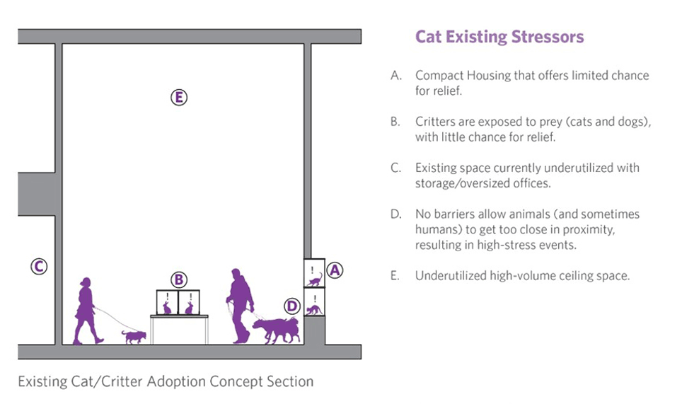 NHS Cat Housing Improvements