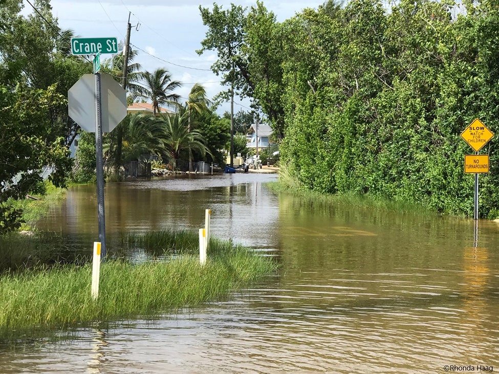 Flooded road