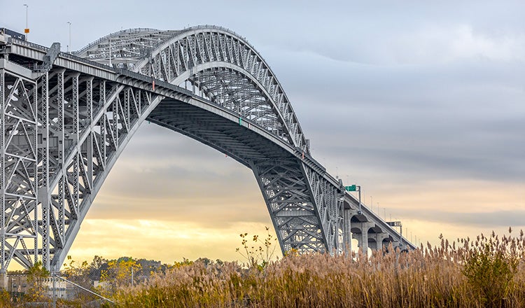 Bayonne Bridge with grass in foreground