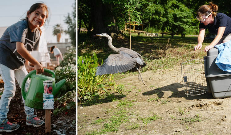 Girl with watering can and woman releasing heron