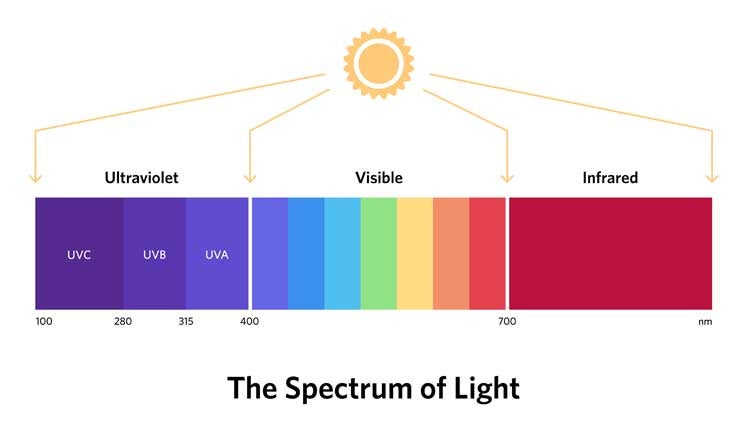 Spectrum of Light graphic
