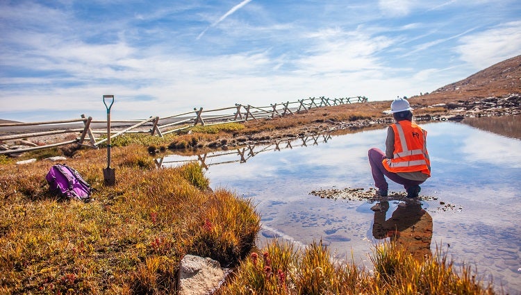 HDR staff performing a wetland delineation on Mount Evans