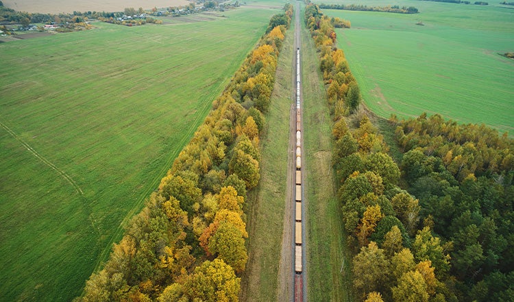 train going through grassy landscape