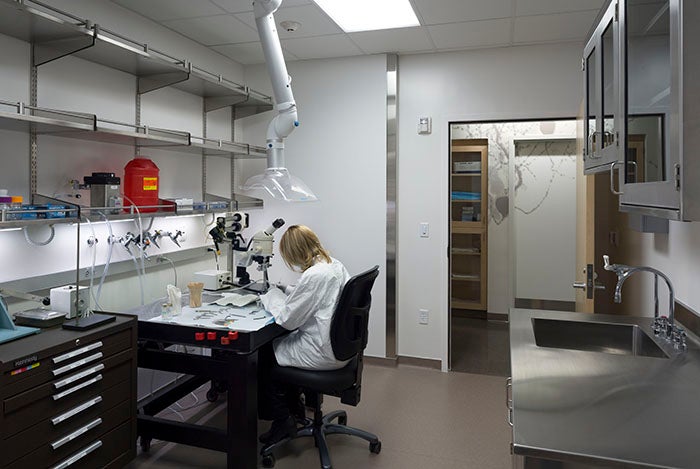 Meister laboratory renovation at Caltech