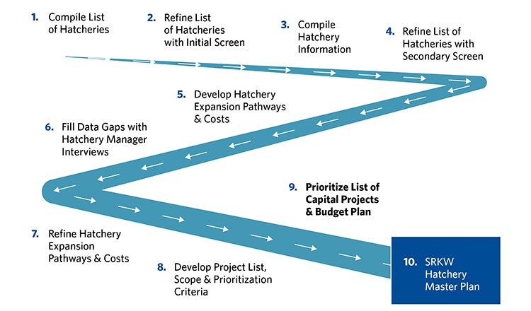 Schematic of the Southern Resident Killer Whales' hatchery master plan that HDR developed in partnership with the Washington Department of Fish and Wildlife.