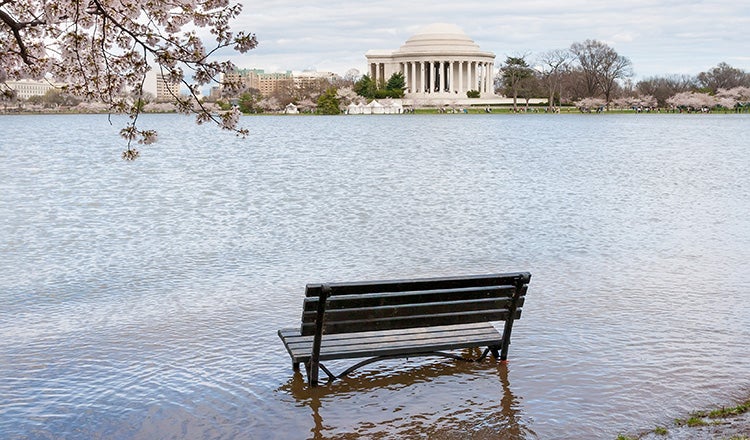 bench in flooded water at Tidal Basin