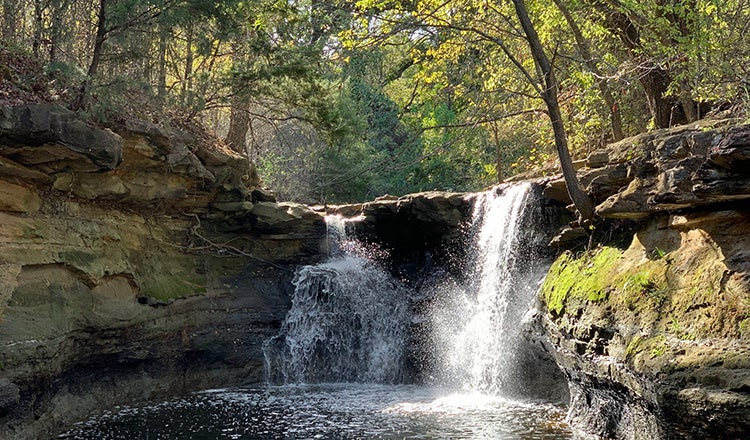 small waterfall surrounded by trees