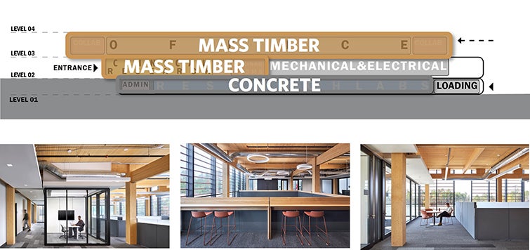 mass timber diagram