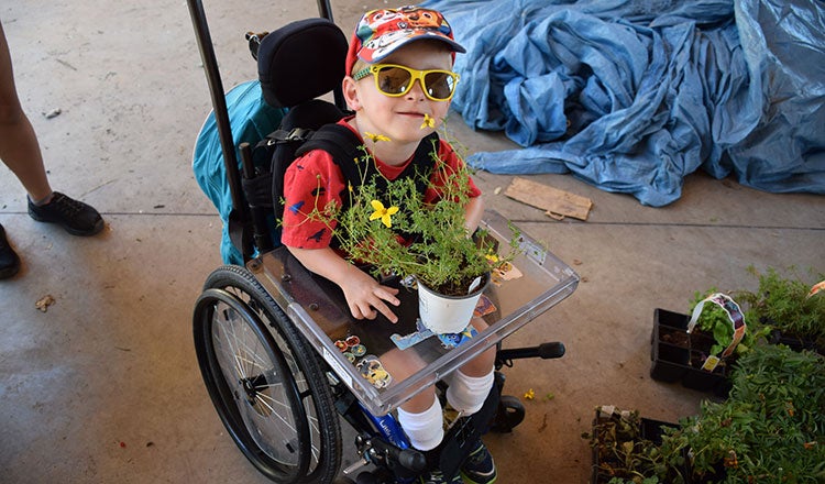 A boy using a wheelchair at a community garden