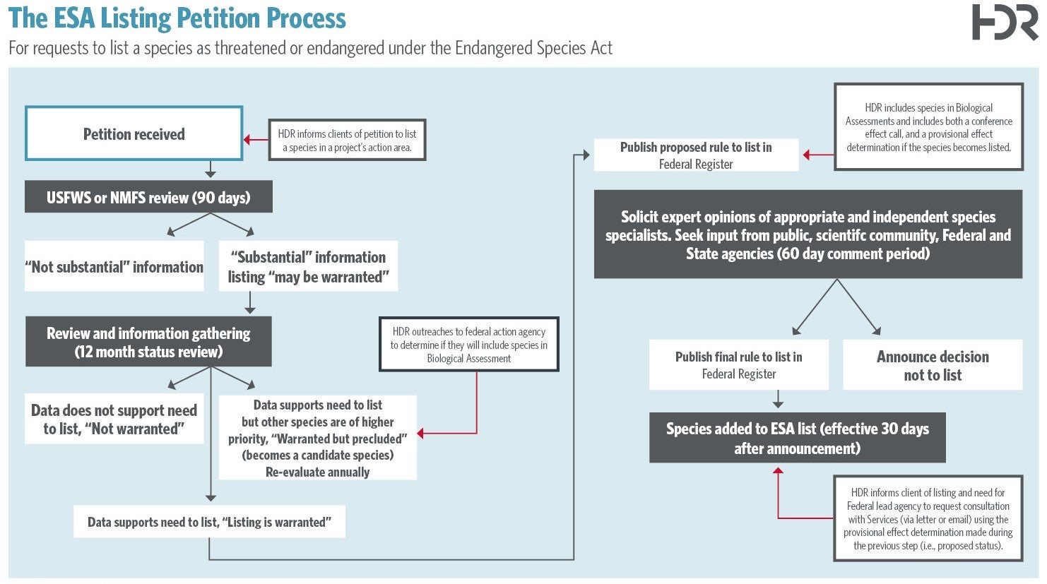 ESA Listing Petition Process Graphic
