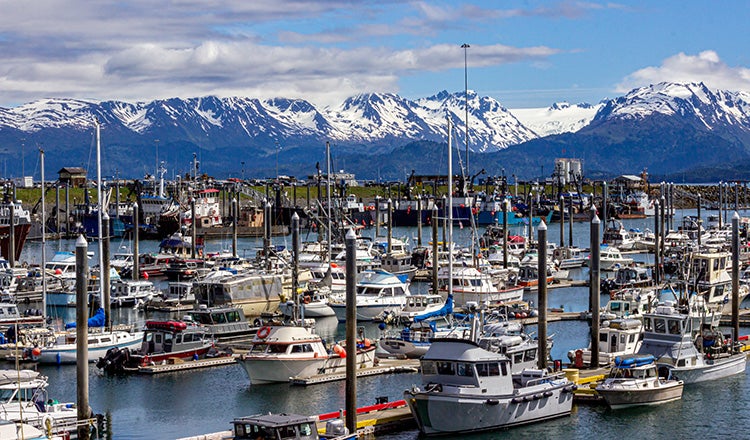 boats in harbor with mountains in background