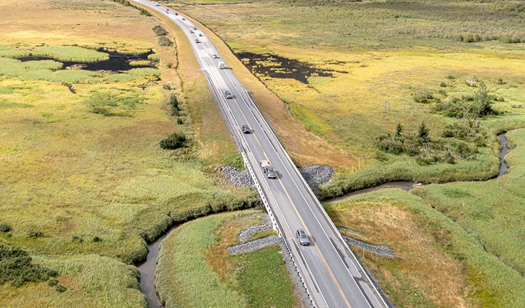 road through wetlands on seward highway