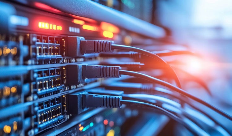 Close up of data server cabling.