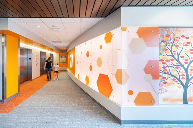 Hallway with orange walls and wall art, art showing a tree