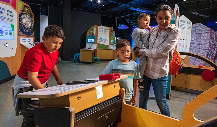 A family explores the Creatividad silvestre / Wild Creativity exhibit