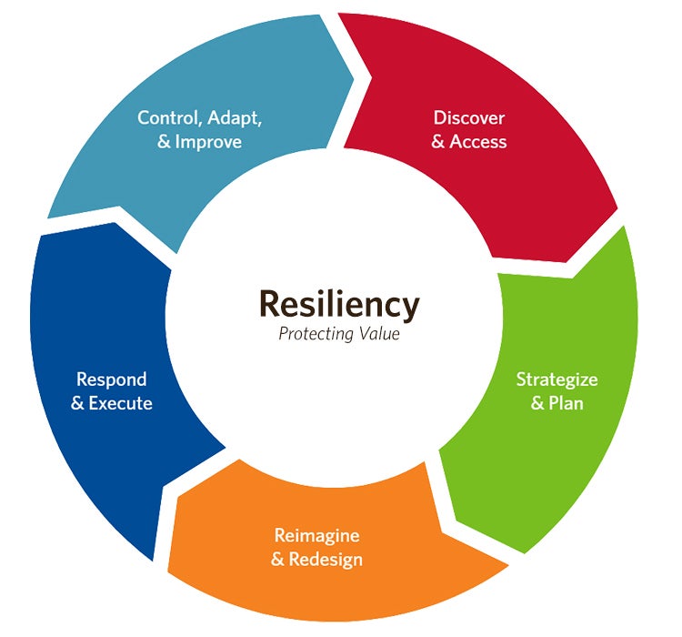 Resiliency Assessment Tool Category Wheel