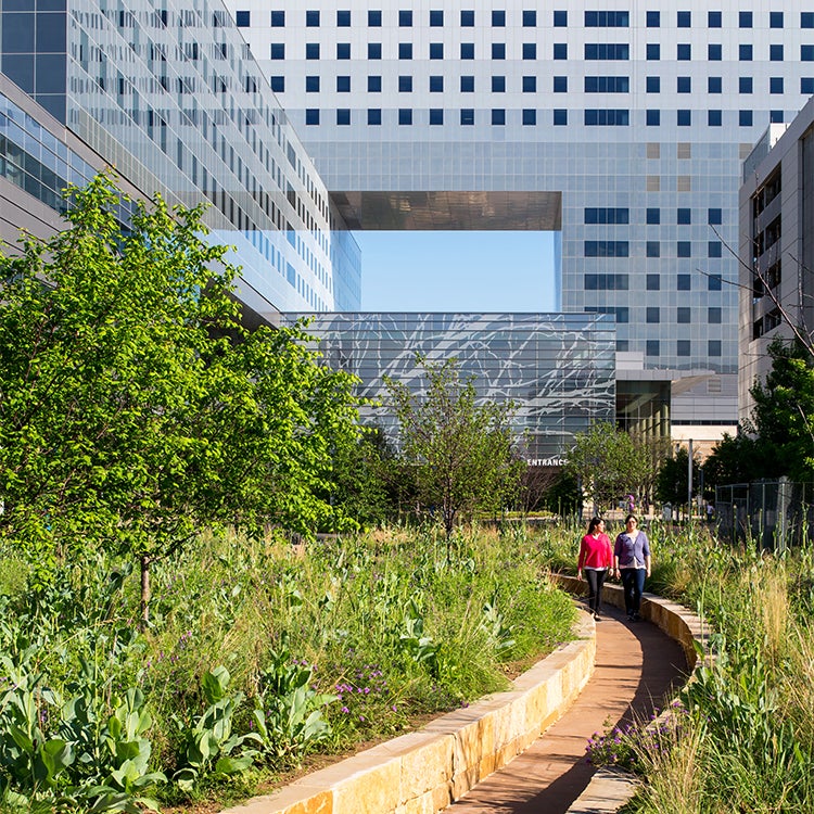 Parkland Hospital Respite Garden and Path