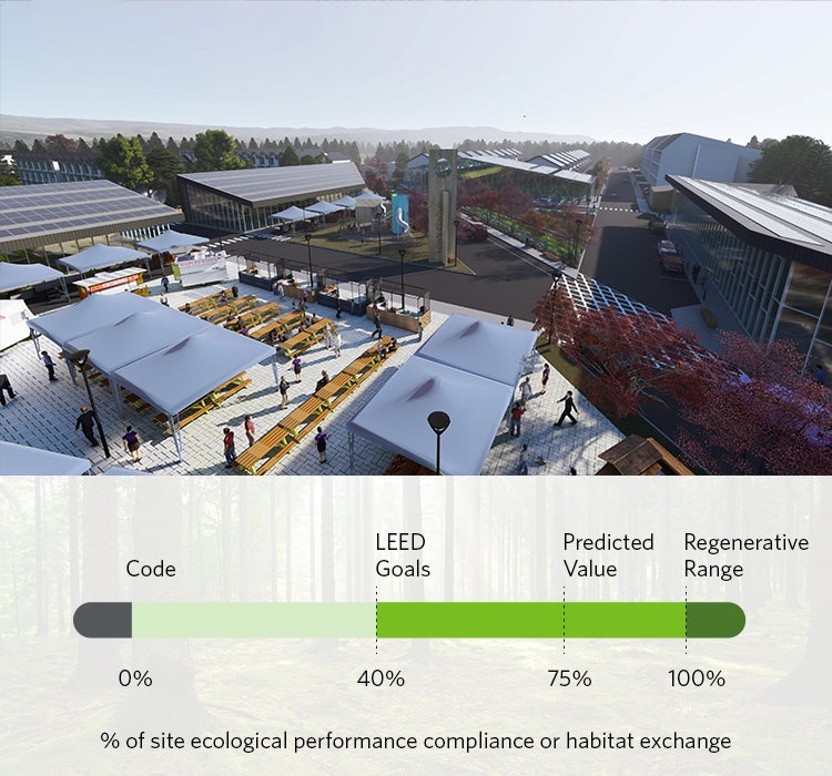 Regenerative Design Biodiversity