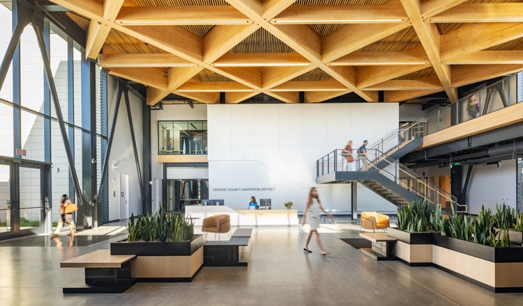 light-filled active lobby with mass timber ceiling