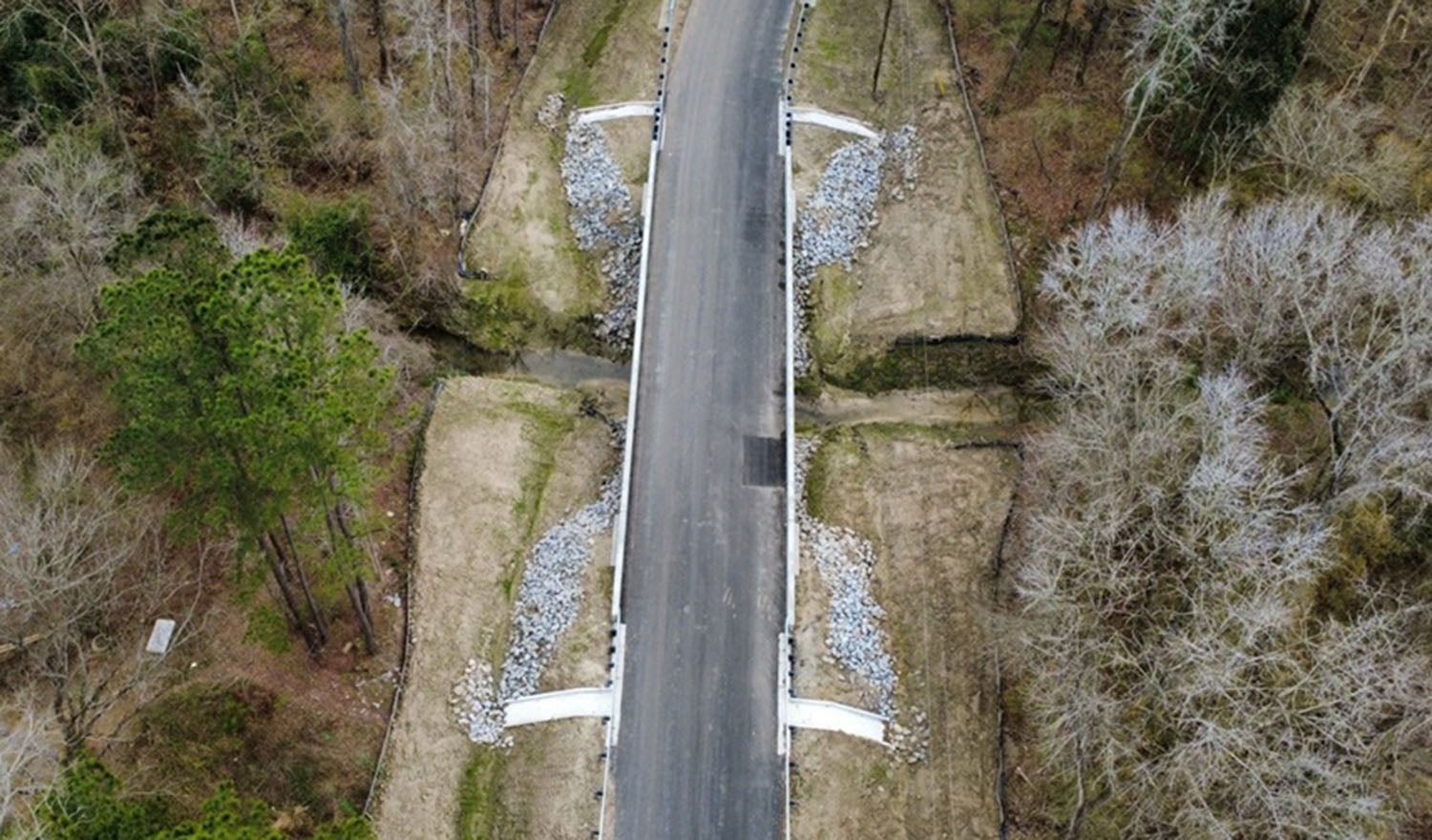 road with a bridge and surrounded by trees