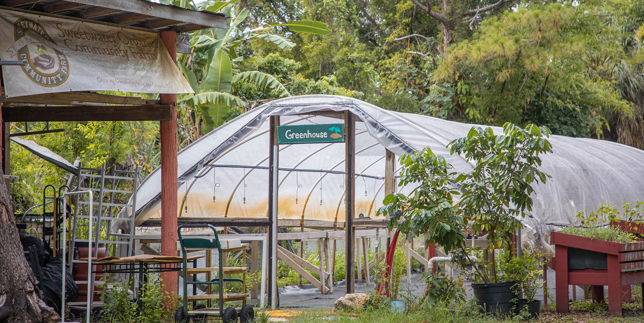 Volunteering at Sweetwater Farm Helps Build Community | HDR